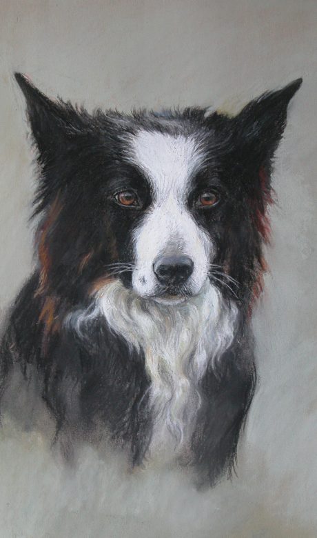 Border Collie by Jane Dunn Astley Corbett